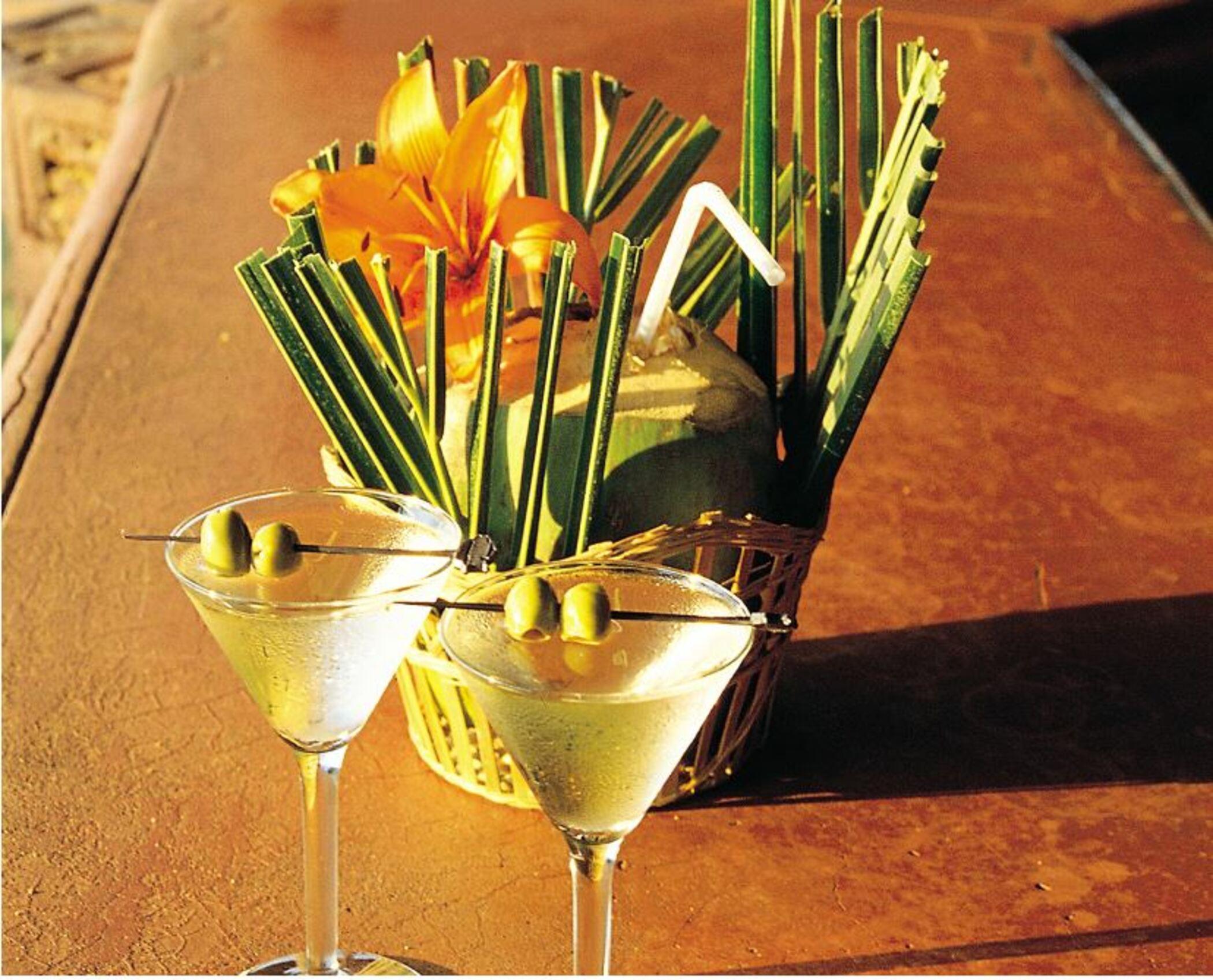 果阿泰姬堡阿瓜达度假酒店 Sinquerim 外观 照片 A dry martini